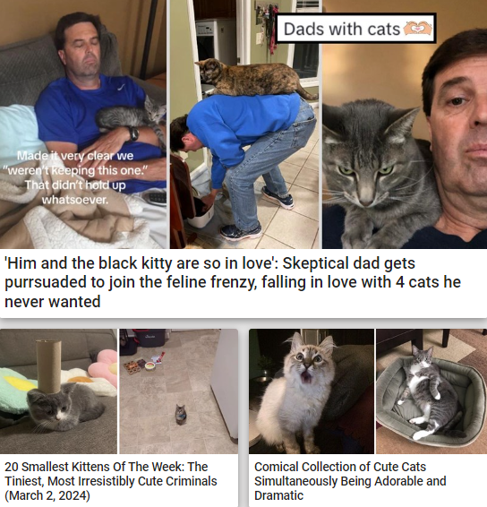 Говорящая рыба и не только. Эти странные идеи сделали своих владельцев миллионерами